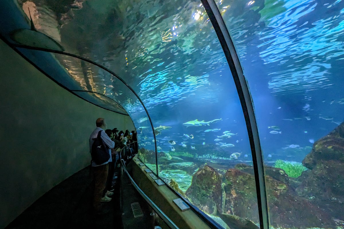 Tunnel d'eau de l'aquarium de Barcelone